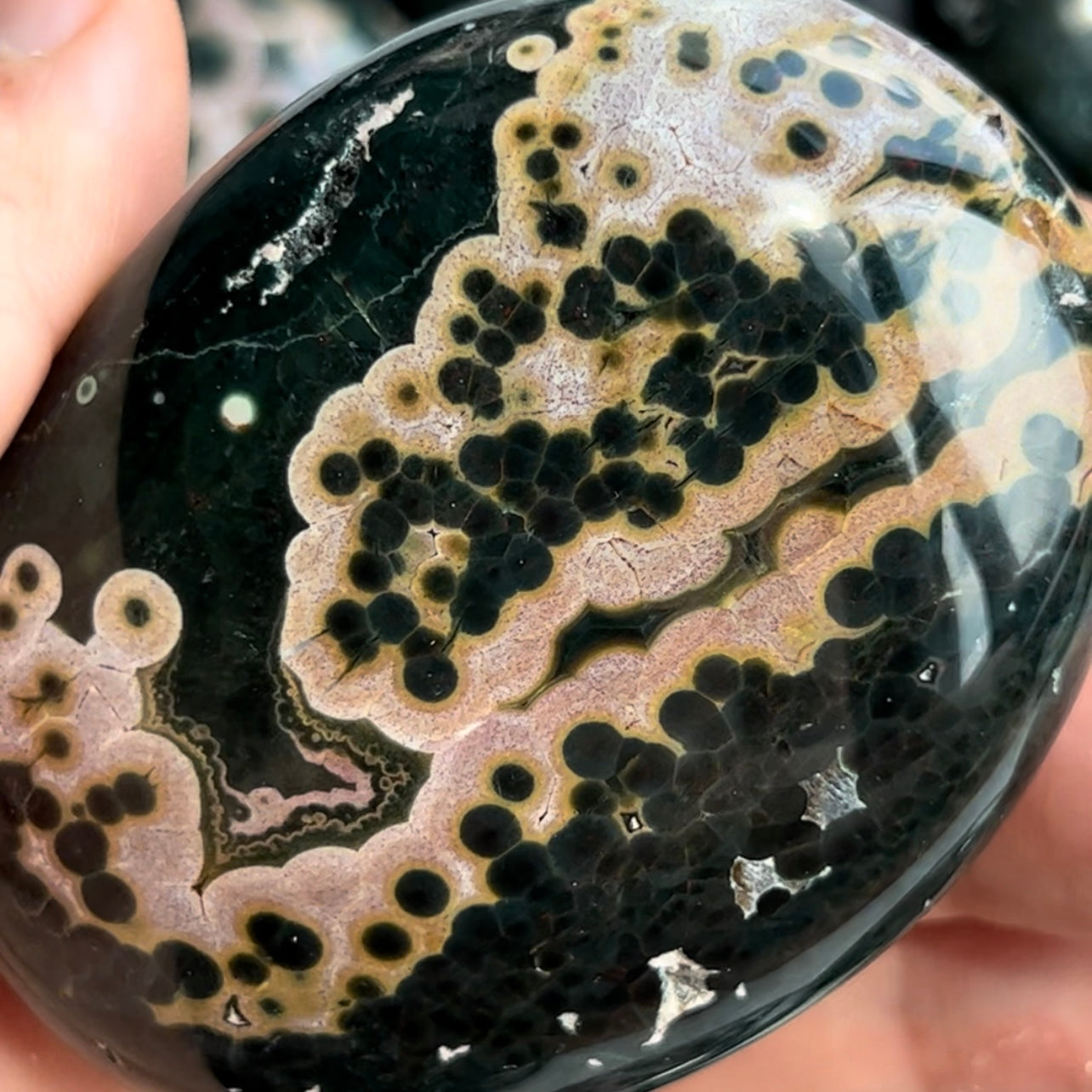Ocean Jasper/Orbicular Jasper – Terra Joy
