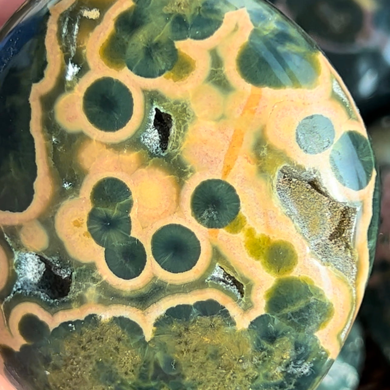 爆買い！ Jasper/Orbicular Ocean Jasper Joy Terra – ビーズ・レジン・アクセサリ