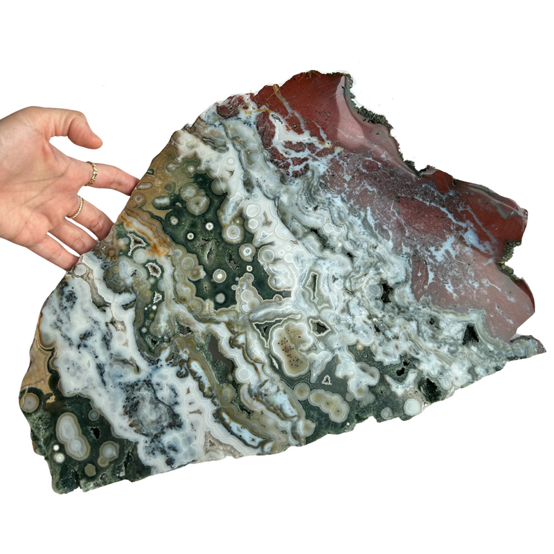 2.3kg Extra Grade Ocean Jasper Slab (8th vein) - COLLECTOR'S GRADE